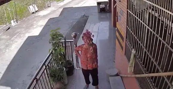 1597046665394044.jpeg 6c224f4a20a44623cc0c77d4eebb6b090ef3d7e7.jpeg